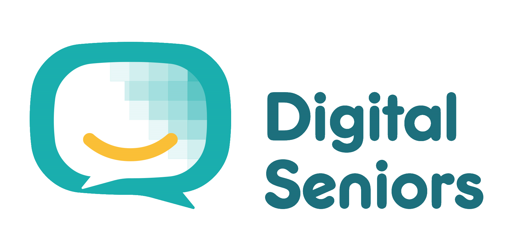 Supporting Digital Seniors